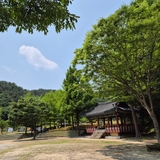 산책과 피크닉 모두 즐기기 좋은 대덕구 나들이 명소 '길치문화공원'