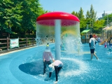 시원한 여름을 즐기는 방법 '송촌체육공원 물놀이장'