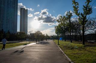 계절의 변화를 예쁘게 보여주는 '금강로하스산호빛공원'