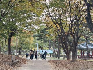 도심 속에서 만난 조용한 가을 '동춘당공원'