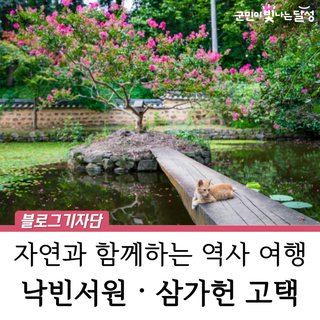 여름날의 낙빈서원과 삼가헌 고택 : 자연과 함께하는 역사 여행