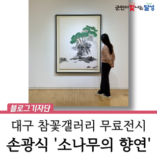 대구 2월 무료 전시 달성군 참꽃 갤러리 손광식 초대전 <소나무의 향연>