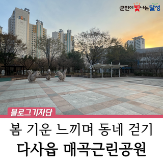 매곡근린공원에 봄내음 가득 다사읍 봄 산책 추천