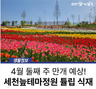 벚꽃 후에는 튤립 :: 세천늪테마정원 식재 완료!