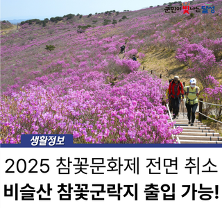 2025 비슬산 참꽃문화제 취소 :: 참꽃군락지 출입 가능합니다!