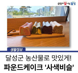 달성군 특산품으로 만든 '사색비슬' 빵 잡숴봐요 #빵지순례 #달성군