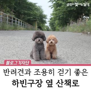 달성 하빈면 애견동반 산책코스 하빈구장 옆 산책로