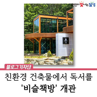 달성군 신상 핫플 '비슬책방', 비슬산 자연휴양림의 아늑한 도서관