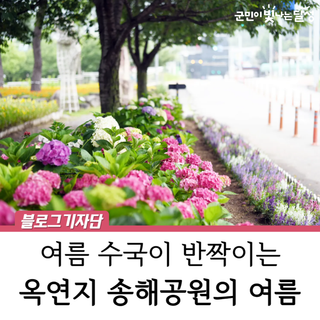 대구 수국 명소 옥연지 송해공원 포토존 :: 여름꽃 가볼 만한 곳