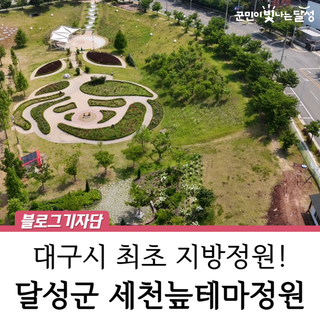 [영상] 숨은 장미 명소 세천늪테마정원 대구 최초의 지방정원입니다!