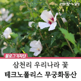 테크노폴리스 중앙공원 무궁화동산 무궁화꽃이 활짝 피었습니다!