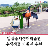 달성습지생태학습관 기획전시 숨 쉬는 습지 살아 있는 수생생물 이야기