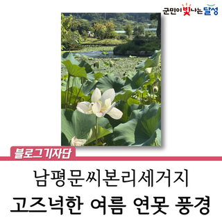 남평문씨본리세거지 연꽃 고택의 정취와 어우러진 신비로운 풍경