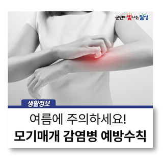 모기매개감염병 예방 국민 행동수칙 안내 :: 여름에 주의하세요!
