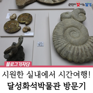 끝나지 않은 폭염, 달성화석박물관 실내 전시 체험 즐겨요 :: 대구 아이들 가볼만한곳