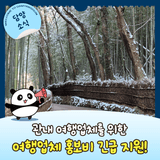 여행업체 홍보비 긴급 지원해드려요! (feat. 온·오프라인 홍보마케팅)