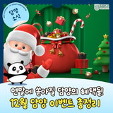 12월 담양 이벤트 총정리 (산타축제, 고향사랑기부제,담양장터)