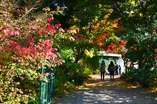 아미미술관의 늦가을 속으로 들어가 보기
