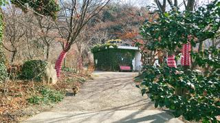 당일치기 겨울여행 가볼 만한 곳 당진 아미미술관