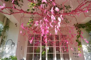 옛 교정 위에 핀 예술 감성을 채우는 당진 아미미술관