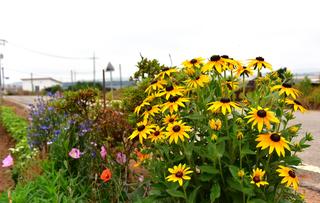 당진시에는 찾아가는 마을한글학교가 있어요!!
