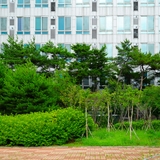 산업단지에 숲이 자랐다, 당진에 조성된 도시숲에 가봤어요.