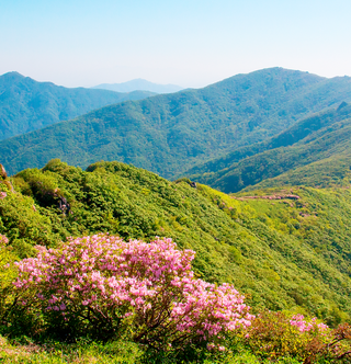 단양 추천 여행지! 문화생태탐방로 소백산  자락길을 소개합니다!