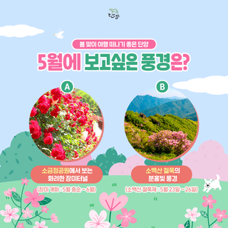 단양 봄 여행지 추천! 5월에 보고 싶은 단양 풍경은? 소금정공원 장미터널 VS 소백산 철쭉의 분홍빛 풍경