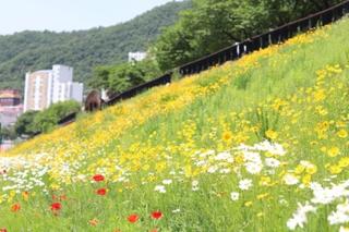 봄 여행 추천! 단양 봄맞이 추천 여행지를 소개합니다!