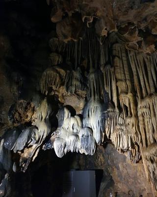 단양 가볼 만한 곳! 설날에 가족과 함께 방문하기 좋은 온달동굴