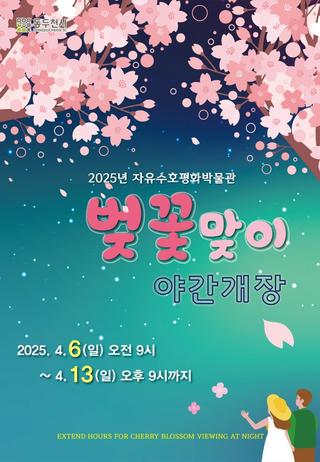 2025년 자유수호평화박물관 벚꽃맞이 야간개장