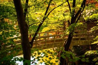 #동대문구러뷰 스쳐가는 계절, 가을에 가기 좋은 동대문구 산책길