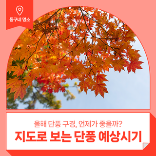 [인포그래픽] 지도로 알아보는 2024년 단풍 예상시기 :: 팔공산 단풍축제, 동촌유원지, 동호서당