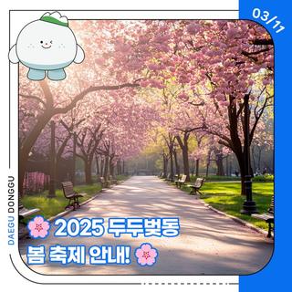 2025 두두벚동(두근두근 벚꽃 동구) 봄 축제 안내!