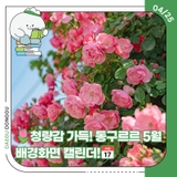 청량감 가득! 동구르르 5월 배경화면 캘린더!