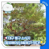 대구 동구 소식지 [팔공메아리 8월호]가 떴다!
