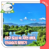 대구 도심 속 자연 생태, 안심습지 탐방기-13기 이수이 기자