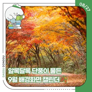 선선한 바람과 알록달록 단풍이 물든 9월 배경화면 캘린더