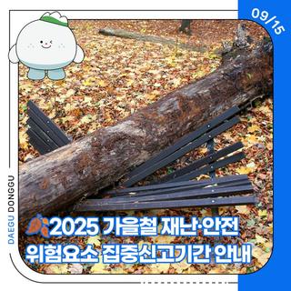 2025 가을철 재난·안전위험요소 집중신고기간 안내