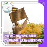 가을 동구 역사탐방, 효목동 조양회관에서 만나는 근현대 이야기