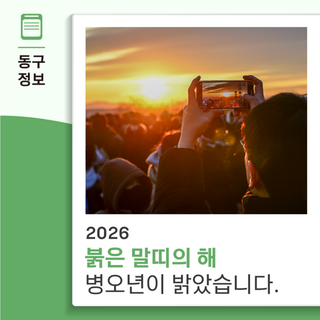 2026 붉은 말띠의 해, 병오년이 밝았습니다!