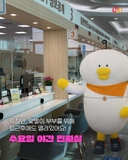 매주 수요일, 구로구청 민원실 야간 운영