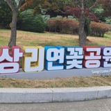 연꽃 명소 상리 연꽃공원에서 인생샷을!
