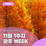 ✨광주 WEEK✨ 11월 1주차 놓치면 후회할 이번 주 광주 소식!