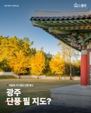 가을에 가기 좋은 단풍 명소, 광주 단풍 필 지도?