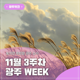 ✨광주 WEEK✨ 11월 3주차 놓치면 후회할 이번 주 광주 소식!