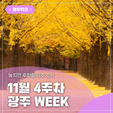 ✨광주 WEEK✨ 11월 4주차 놓치면 후회할 이번 주 광주 소식!