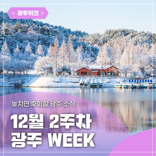 ✨광주 WEEK✨ 12월 2주차 놓치면 후회할 이번 주 광주 소식!