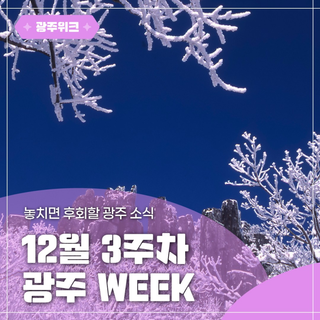 ✨광주 WEEK✨ 12월 3주차 놓치면 후회할 이번 주 광주 소식!