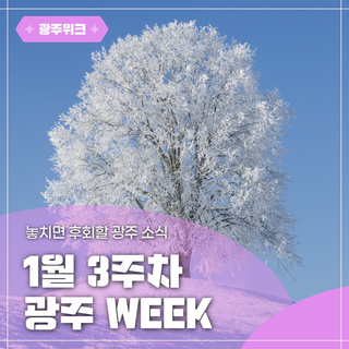 ✨광주 WEEK✨ 1월 3주차 놓치면 후회할 이번 주 광주 소식
